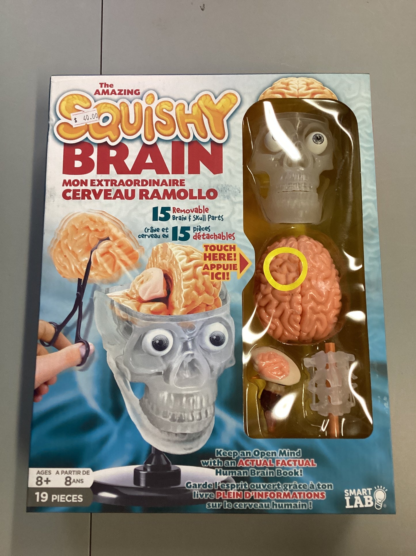 Smart Lab The Amazing Squishy Brain