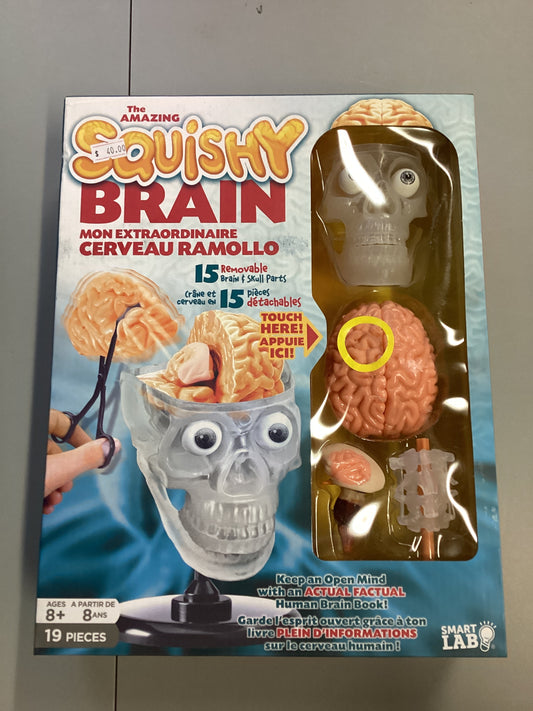 Smart Lab The Amazing Squishy Brain