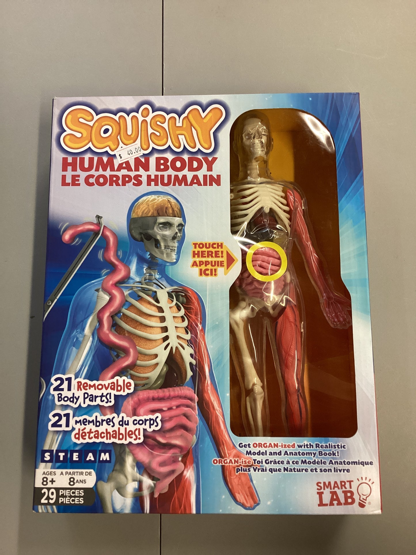Smart Lab Squishy Human Body